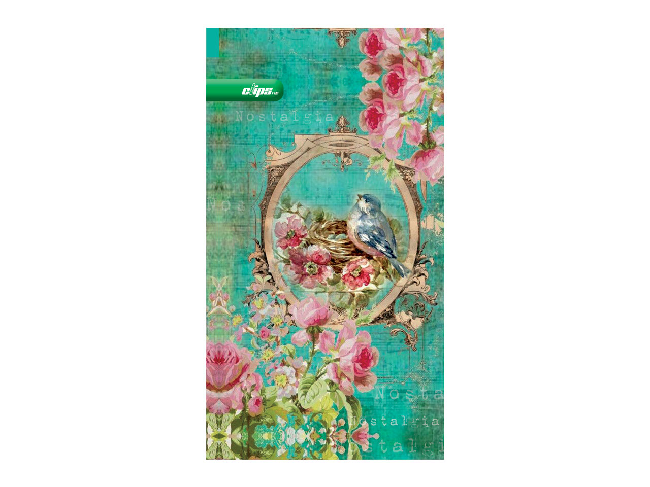 adult note book